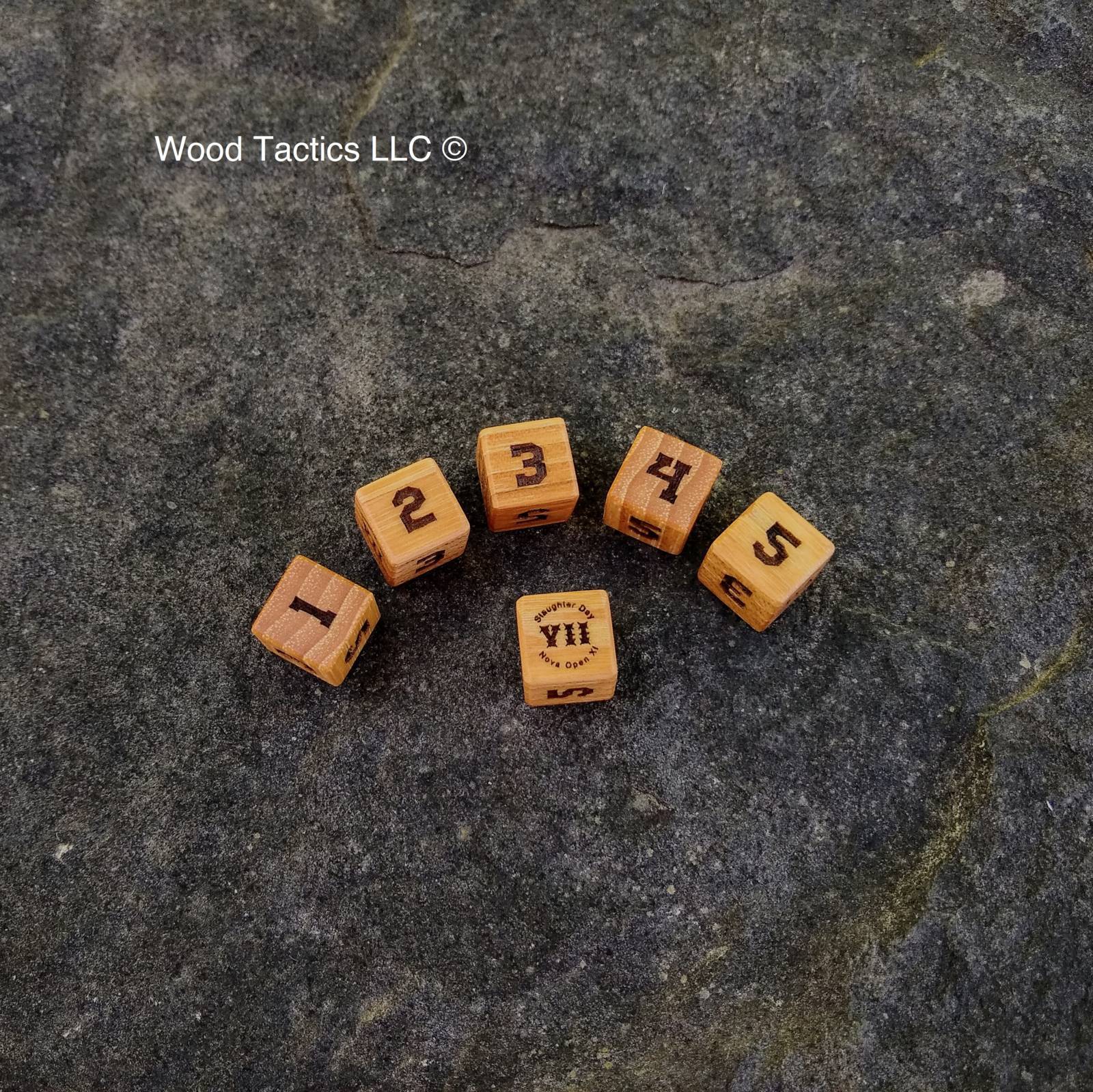 Custom d6 dice with a block font for the Slaughter Day Tournament. Made from Hickory Hardwood.