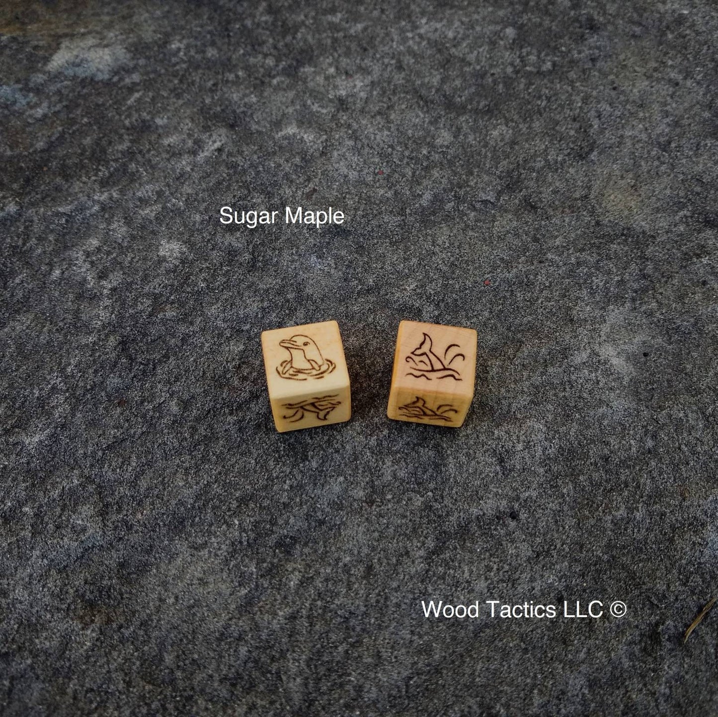 Maple Hardwood D6 Coin Flip Dice with A Dolphin head above the water and a dolphin tail above the water on the opposite sides.