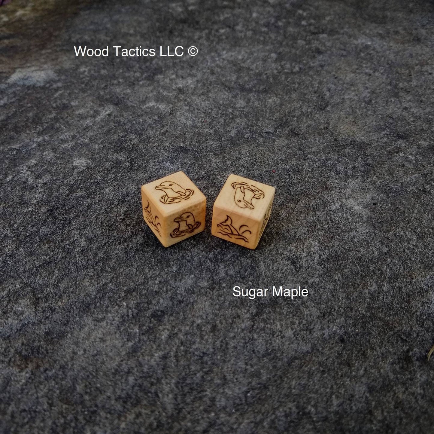 Maple Hardwood D6 Coin Flip Dice with A Dolphin head above the water and a dolphin tail above the water on the opposite sides.