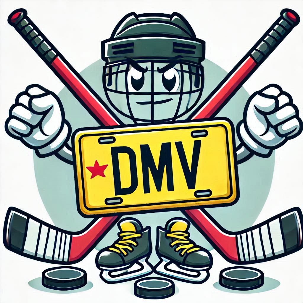 Where to Play Youth Hockey in the DMV