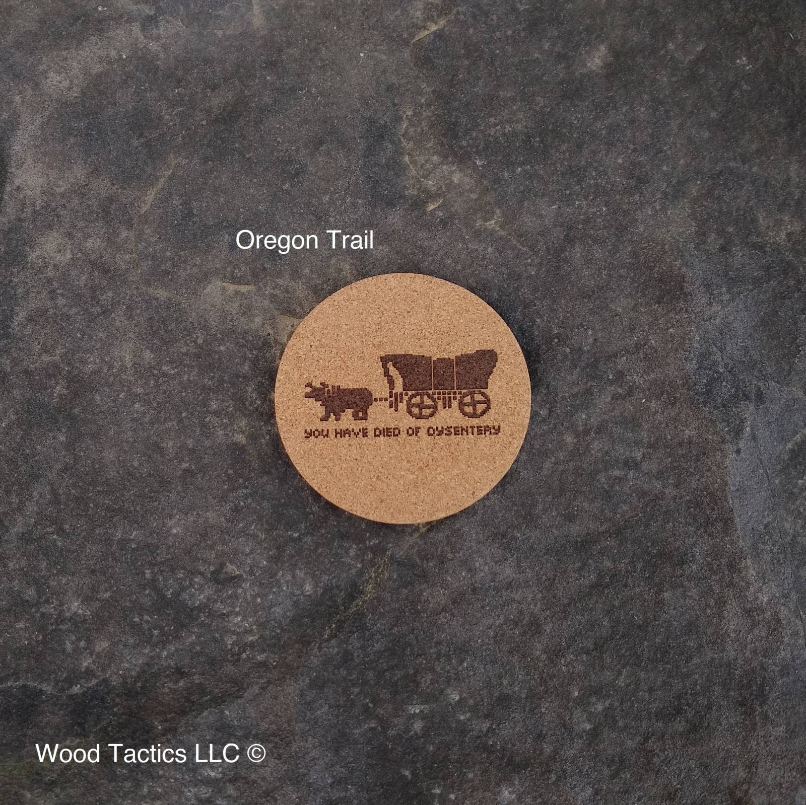 PC Game 4 inch Round Cork Coasters with You have Died of Dysentery.