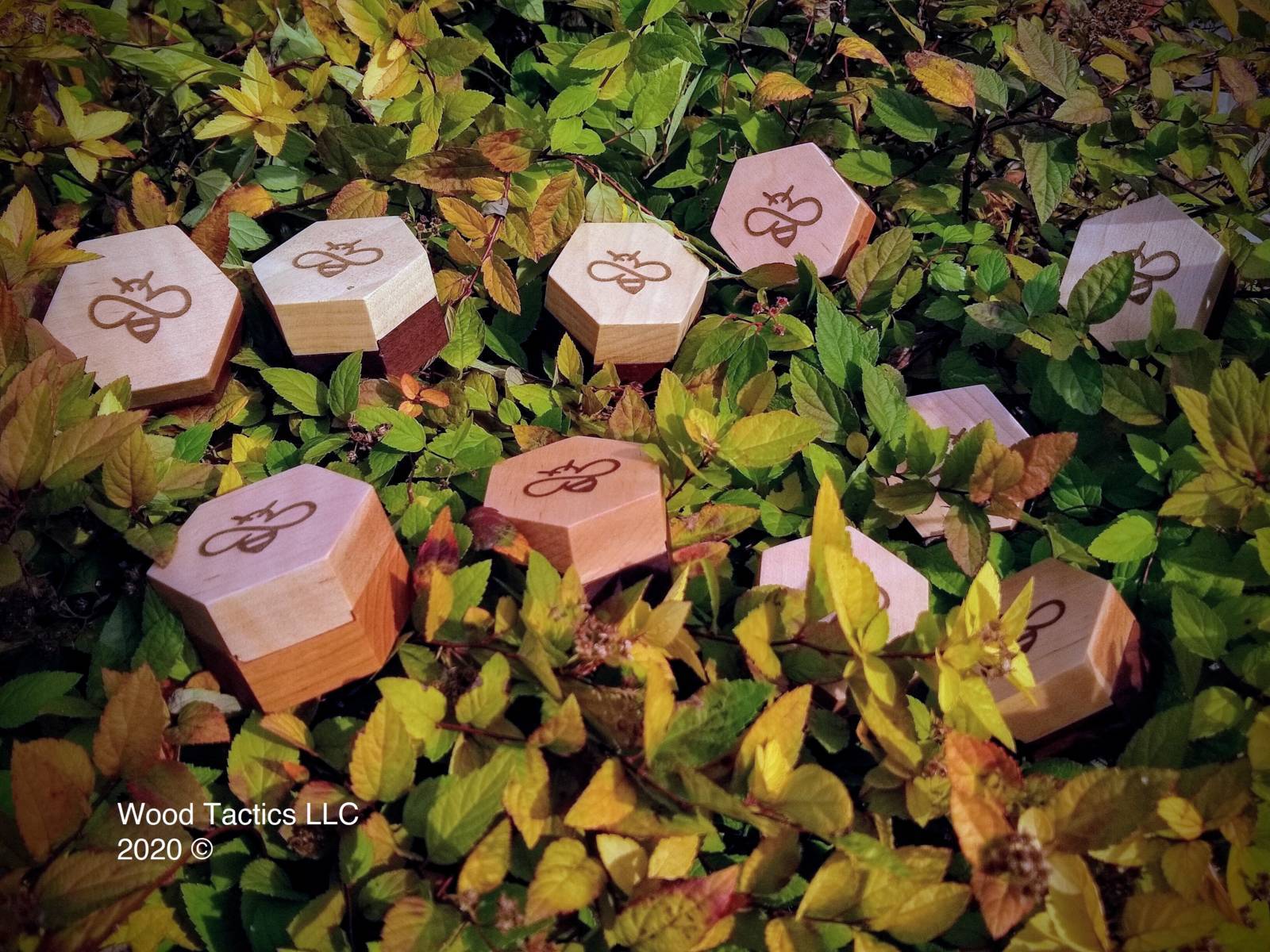 Custom Little hexagon bee boxes! With magnets to keep the tops down and the geometry of the inside lips to keep the box lid from sliding off. 