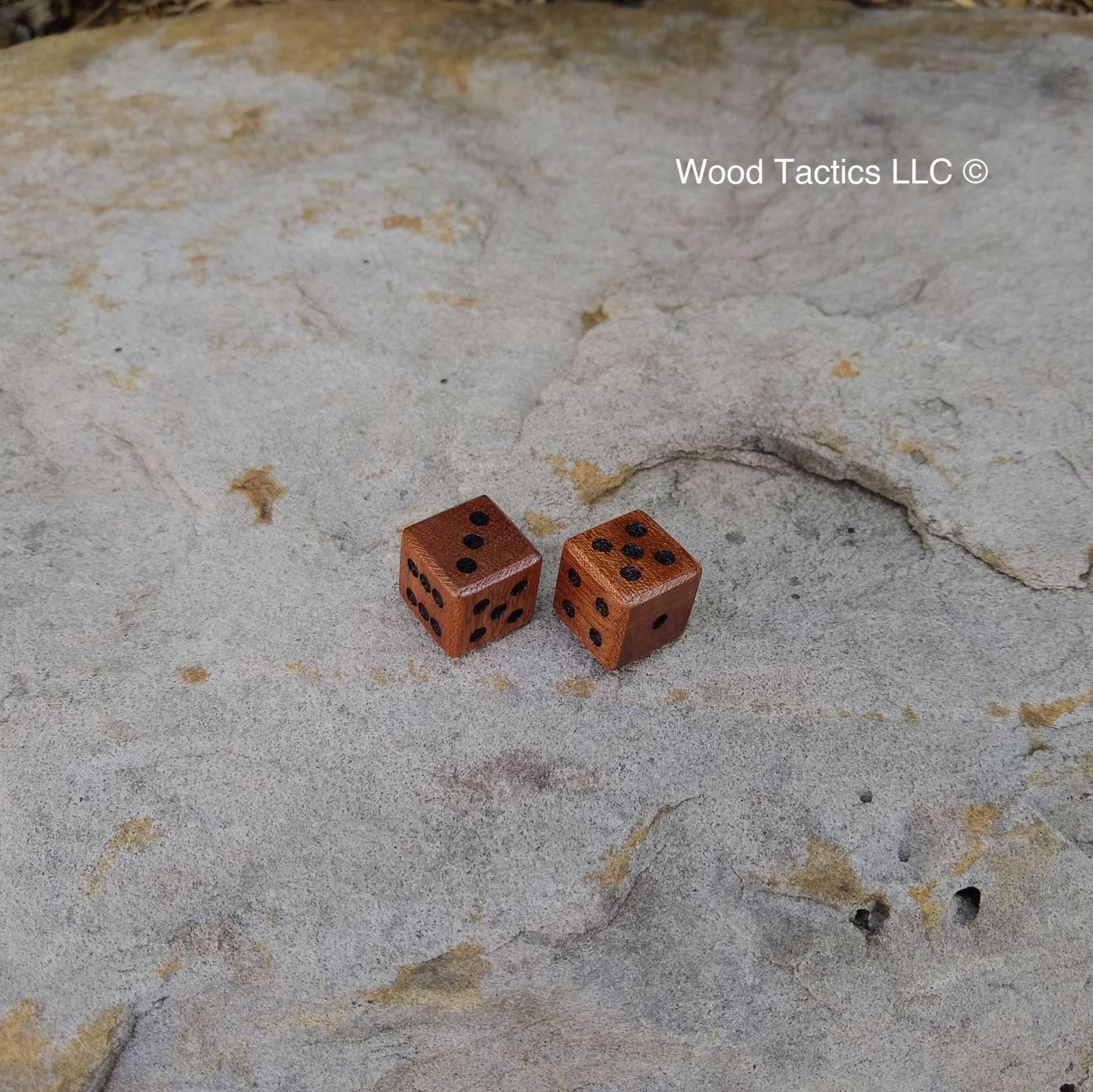 Sapele wood dice with D6 Layout and Pip design, without ink.