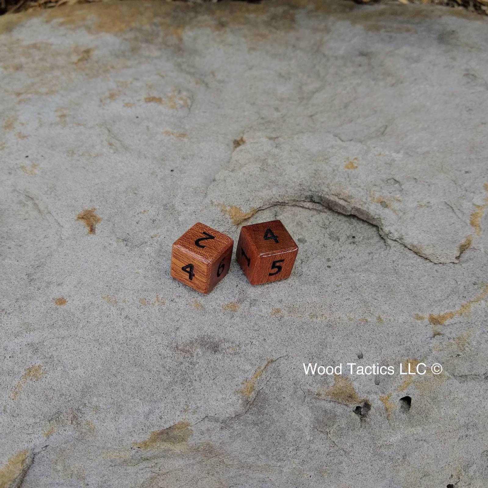 Sapele D6 dice with Numbers, and without ink.