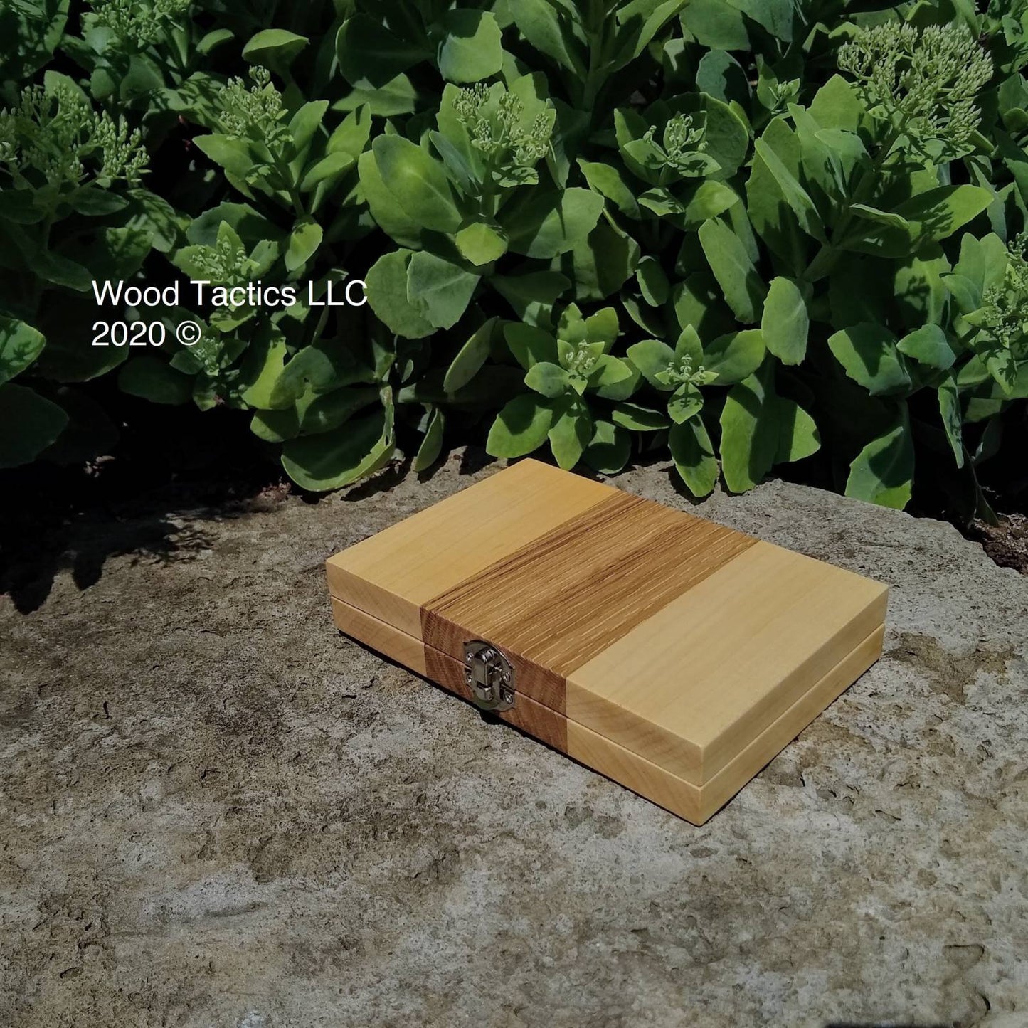 Barricade (Malefiz) Folding Board Game